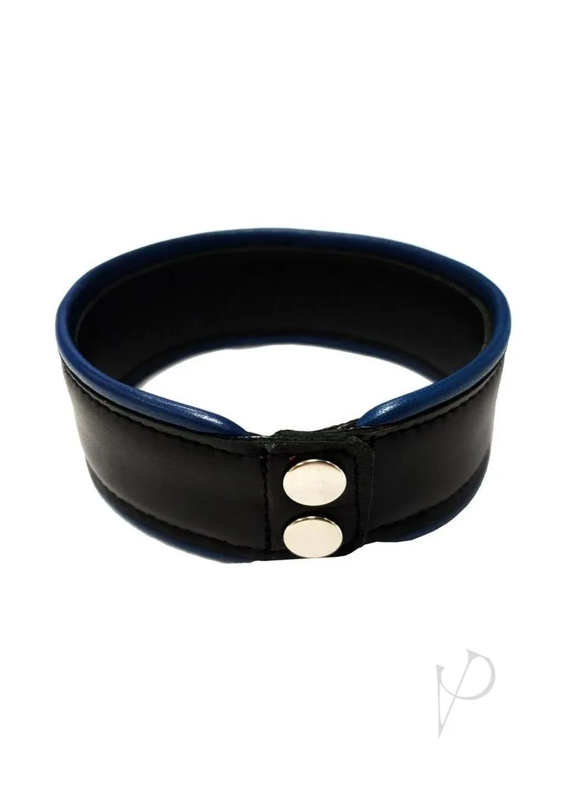 Arm Band Lg Black/blue