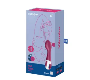 Satisfyer Hot Spot Connect App